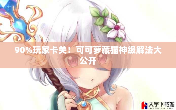 90%玩家卡關(guān)！可可蘿藏貓神級解法大公開(kāi)