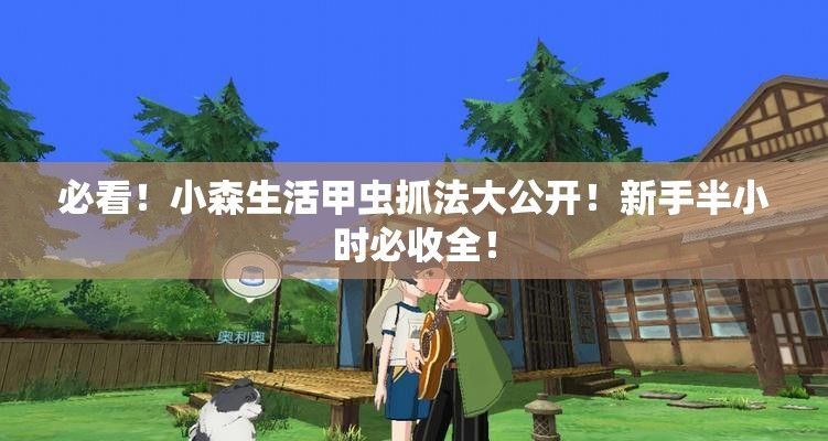 必看！小森生活甲蟲(chóng)抓法大公開(kāi)！新手半小時(shí)必收全！