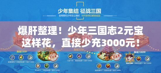 爆肝整理！少年三國志2元寶這樣花，直接少充3000元！